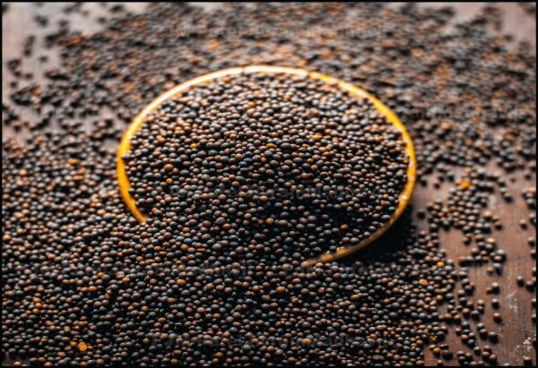 Black and Brown Mustard Seeds