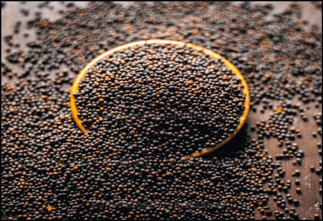 BLACK-MUSTARD-Seeds.jpg