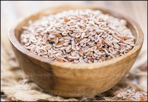 Psyllium Seeds (Isabgol Seeds)