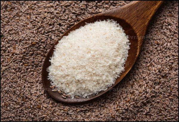 Psyllium Husk (Isabgol)