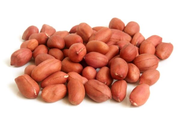 Groundnut