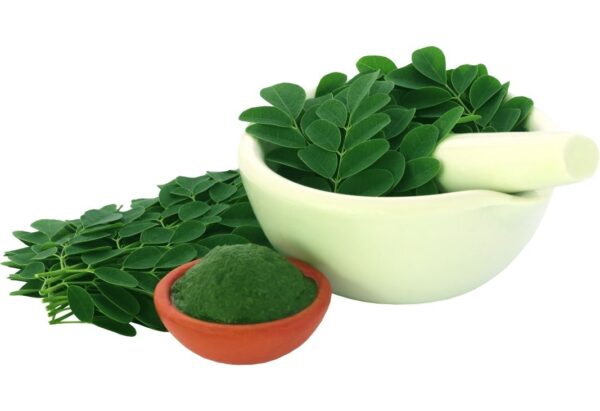 Moringa