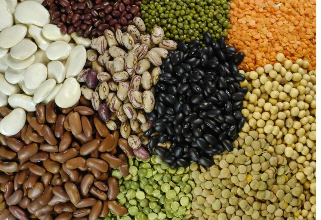 Pulses-Lentils.jpg