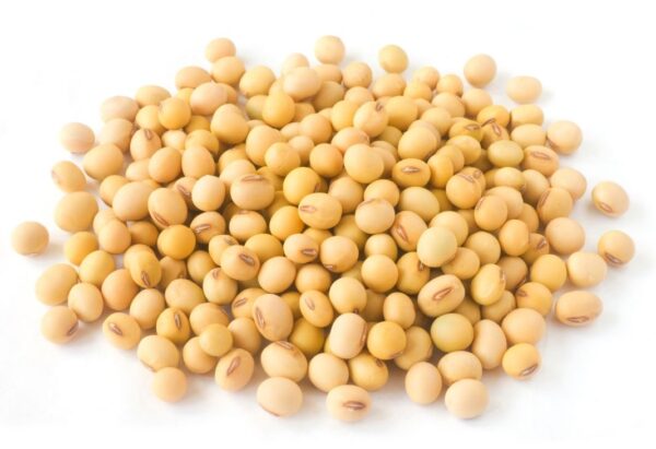 Soyabean