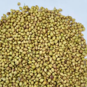 Coriander Seed