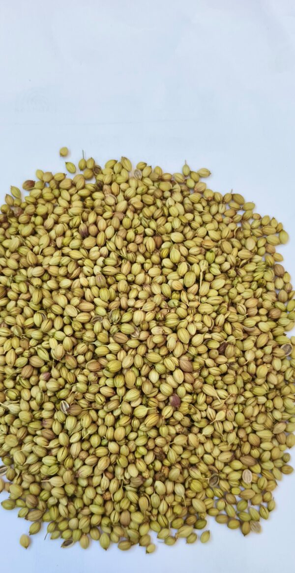 Coriander Seed