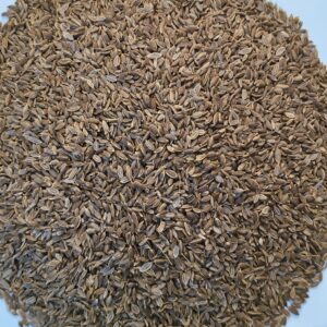 Dill Seeds