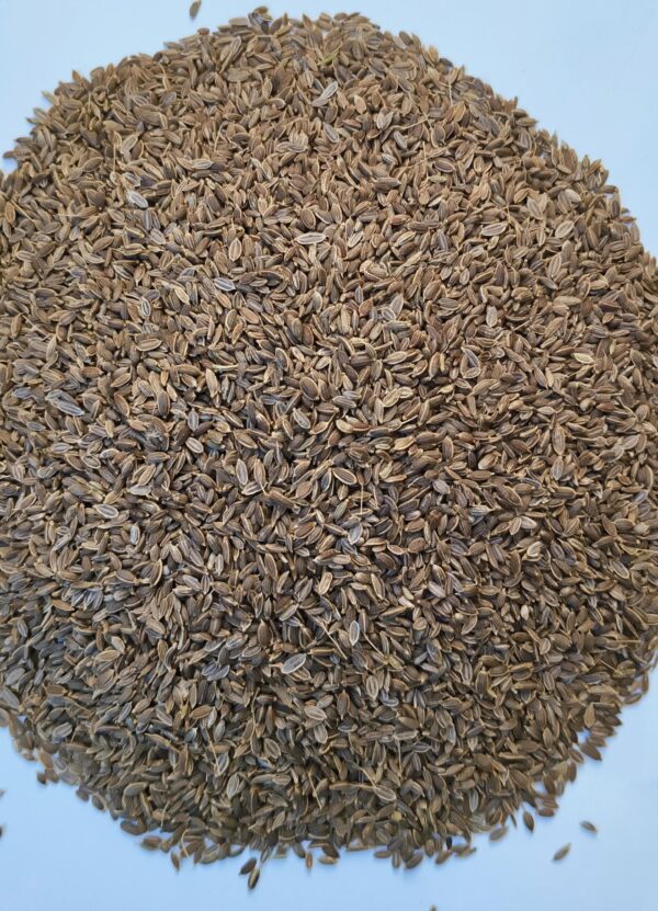 Dill Seeds
