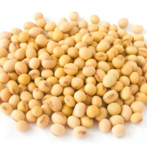 Soyabean